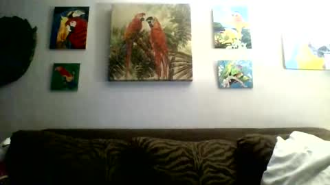 jay-jay1475 online show from February 23, 5:46 pm