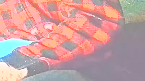 jedishy925585 online show from December 16, 5:47 am