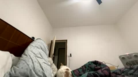 jericho810333 online show from March 30, 11:06 pm