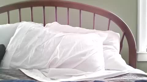 jerkingmanforyou online show from March 15, 1:40 pm