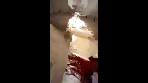 KingIceJersey online show from March 30, 10:27 am