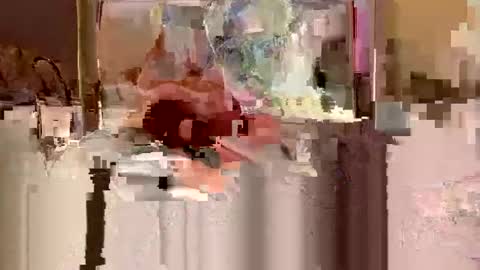 HotArabGuy24 online show from April 18, 10:20 pm