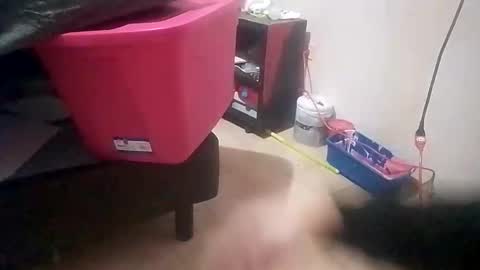 jose_longoria266 online show from January 19, 1:41 am