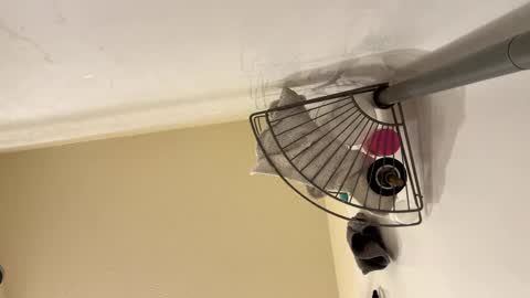 sissy josphine online show from February 15, 6:23 am