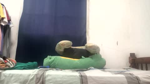 Jos Prez online show from March 5, 5:20 pm