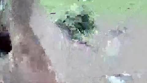 Snapshot of jozampo chatting on March 5, 12:27 am jozampo online show from March 5, 12:27 am