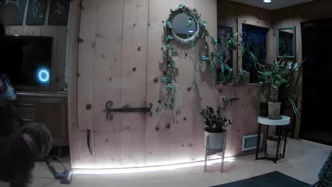 jroge21 online show from February 16, 1:49 am