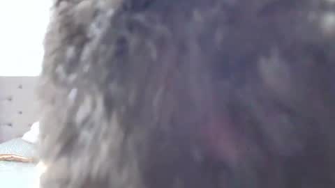 juan_gomez_1 online show from July 29, 3:49 am
