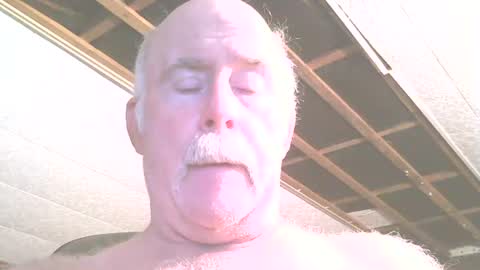 justdon online show from July 21, 2:41 pm