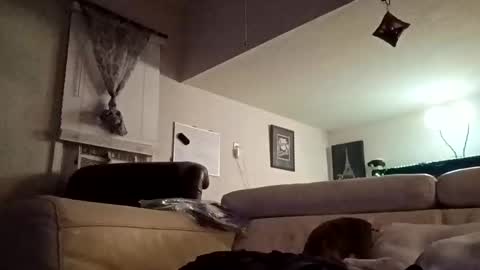 Snapshot of justjuice19640 chatting on October 28, 6:05 am justjuice19640 online show from October 28, 6:05 am