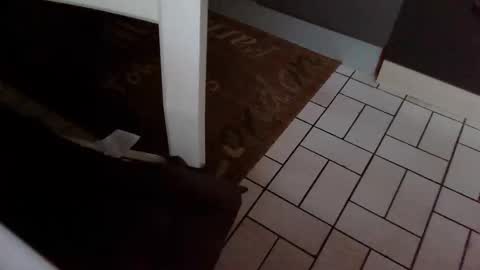 Kev online show from October 31, 7:34 am