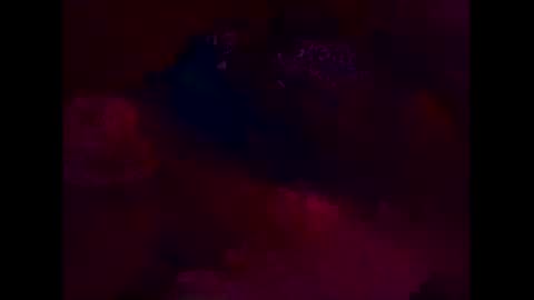 T online show from November 19, 9:31 am