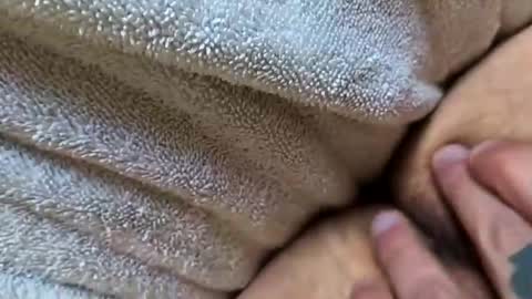 Bluecollarman69 online show from December 22, 3:20 pm