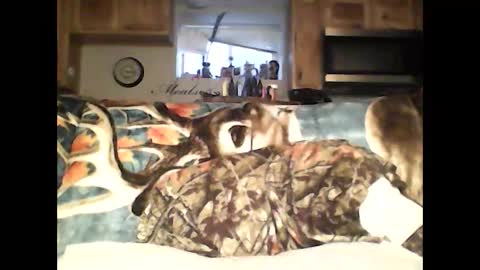 ki389253 online show from February 2, 11:21 pm