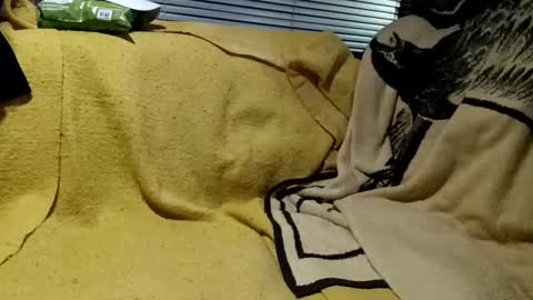 knock2wice1975 online show from December 18, 9:58 am