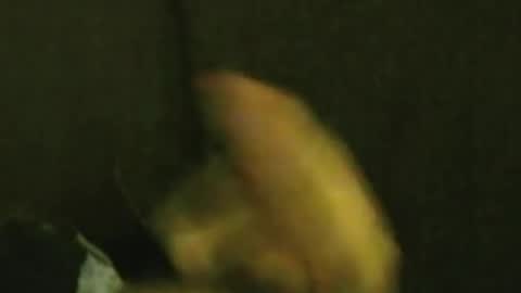 kren565656 online show from October 15, 11:29 am