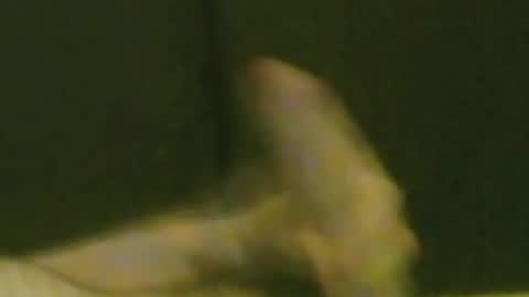 kren565656 online show from September 20, 8:47 am