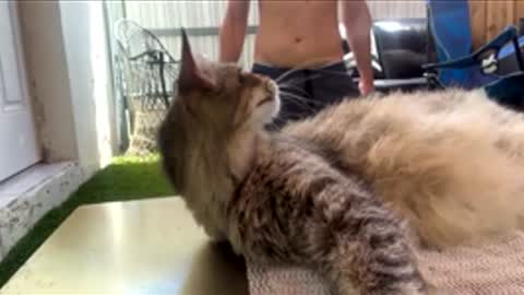 latinofum online show from February 26, 4:41 pm