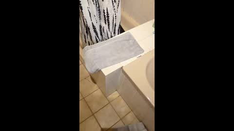 latti40 online show from March 11, 10:22 am