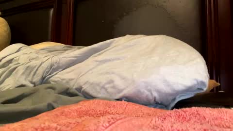 lawrencegreg106 online show from April 6, 11:59 pm