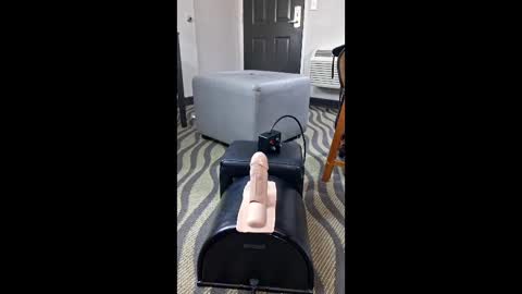 Lee Cox online show from December 15, 2:03 pm