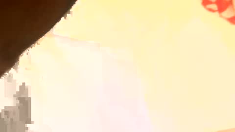 legal4 online show from March 11, 6:26 pm