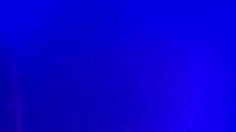 LickYourYoni online show from January 13, 2:21 pm