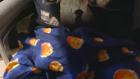 liltorobull online show from March 23, 4:51 am