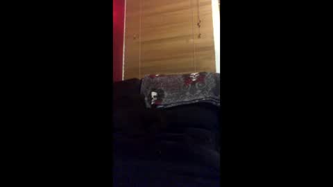 litknick14 online show from March 10, 12:38 am