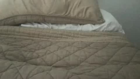 LitSoftwareEngineer online show from February 23, 9:36 pm