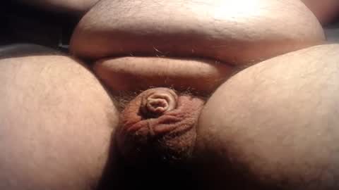 Snapshot of littlepeniscanadian chatting on March 3, 11:34 pm littlepeniscanadian online show from March 3, 11:34 pm