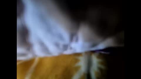 Lo82 online show from September 29, 4:03 pm