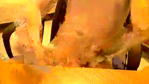 vrgboy20 online show from April 26, 6:05 pm