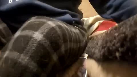 looking4bush online show from January 19, 5:54 am