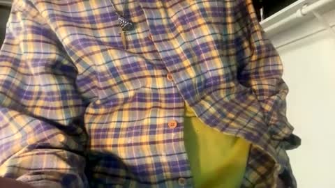 HoneydickNick online show from January 17, 12:42 pm