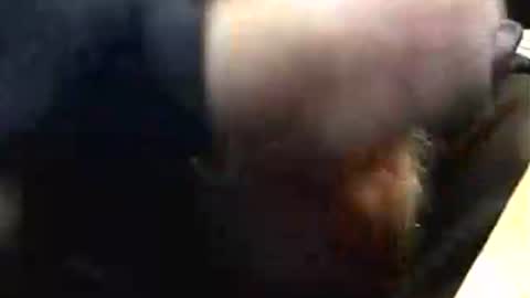 lukestarfckr online show from November 29, 6:54 pm