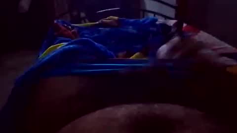 mac0000042 online show from December 16, 6:09 am