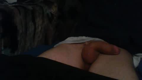 macho9385 online show from December 14, 8:16 pm