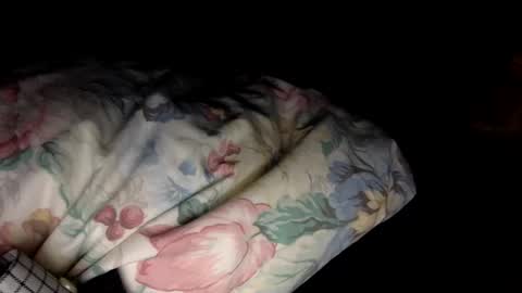 malefrench1 online show from December 22, 1:03 am