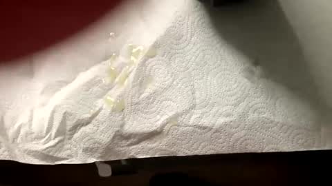 Snapshot of man4you888 chatting on February 20, 3:08 pm man4you888 online show from February 20, 3:08 pm