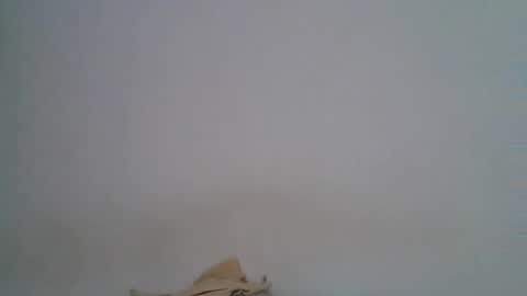 mariobrosss517470 online show from December 18, 6:46 pm