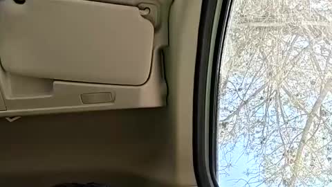 marius_23 online show from July 29, 7:29 am