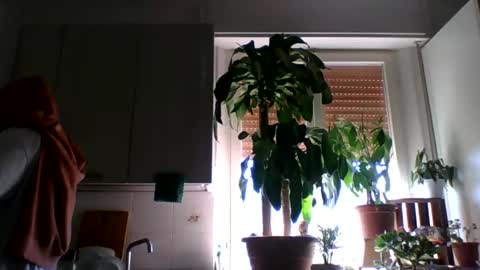 matteushh87 online show from October 7, 10:08 am