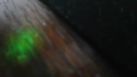 mattw31019 online show from February 24, 8:31 pm