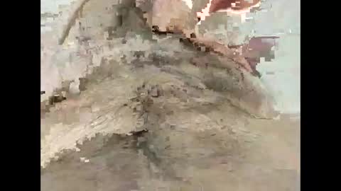 maxega1982 online show from May 31, 3:44 pm