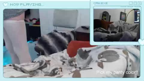 mike_davis44444 online show from December 5, 6:37 pm