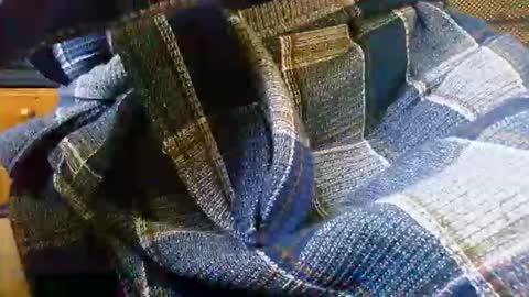 mikeybed online show from March 19, 10:29 am