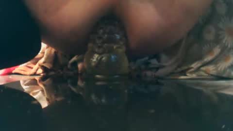 Snapshot of mikkkiz chatting on October 5, 2:21 pm Bescior online show from October 5, 2:21 pm