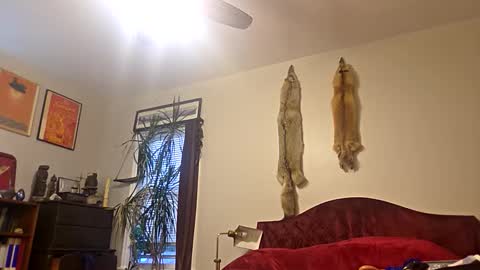 Snapshot of mjohnmor2 chatting on September 25, 11:57 pm cum show j online show from September 25, 11:57 pm