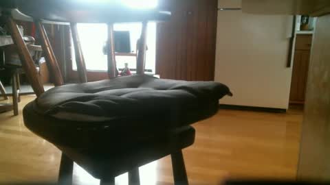 mmrstp online show from September 14, 11:01 am